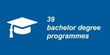 41 bachelor degree programmes